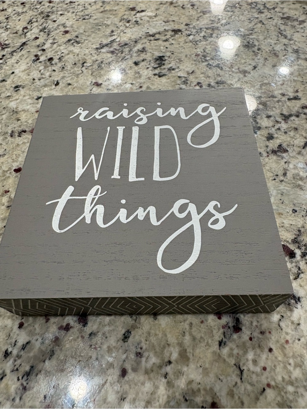 Kirklands raising wild things gray and white wall hanging GUC